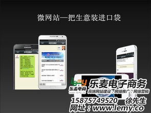 微信網(wǎng)站開發(fā)制作 樂麥專注網(wǎng)站設計 在線咨詢 微信網(wǎng)站